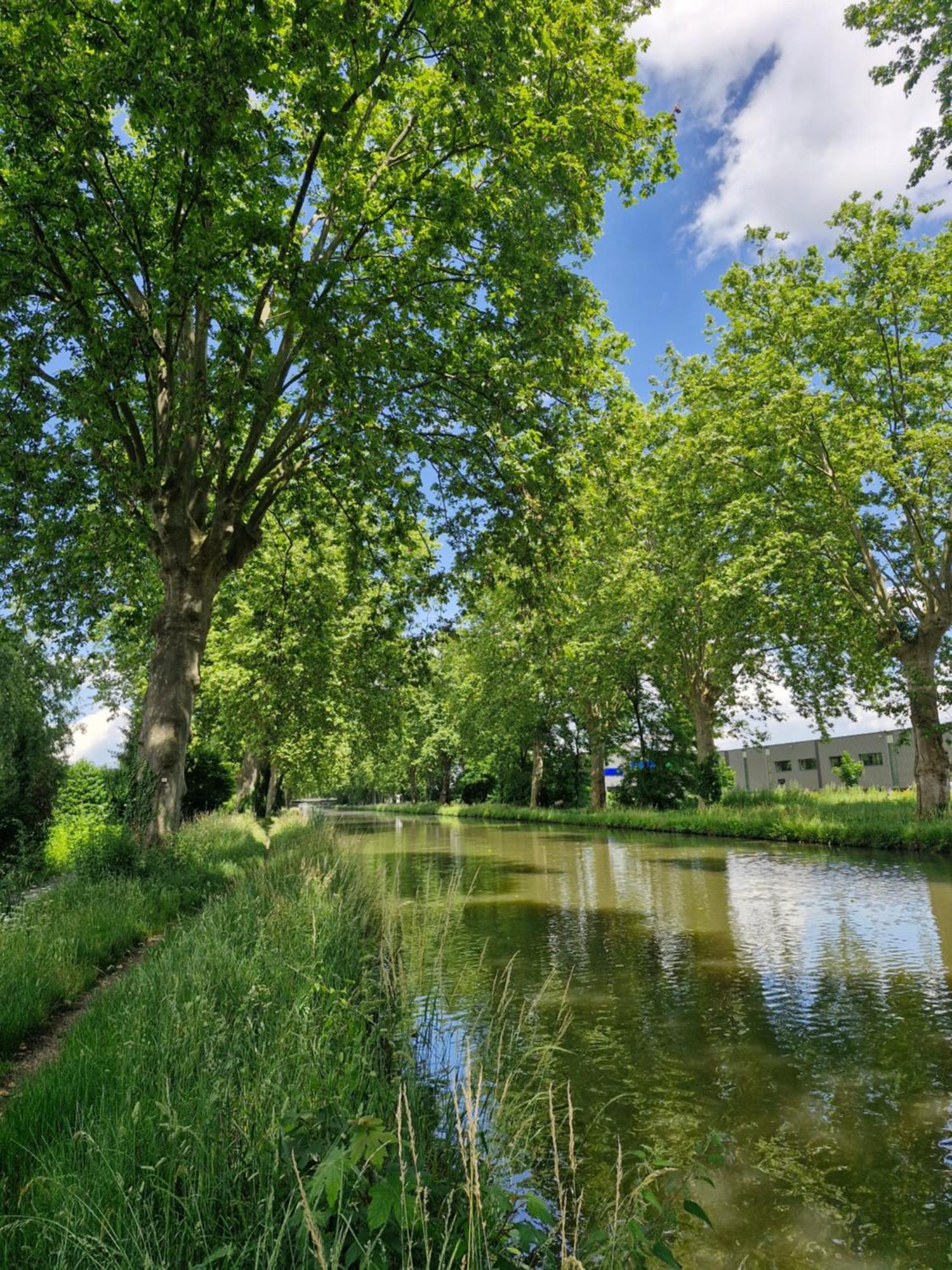 Gite-Appart Com' "Des Cimes Et Jardin" Illkirch-Graffenstaden Exteriör bild